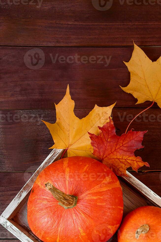 Autumn flat lay. Ripe pumpkins and yellow leaves in wooden box. Harvest and Thanksgiving concept. Halloween celebrations. photo