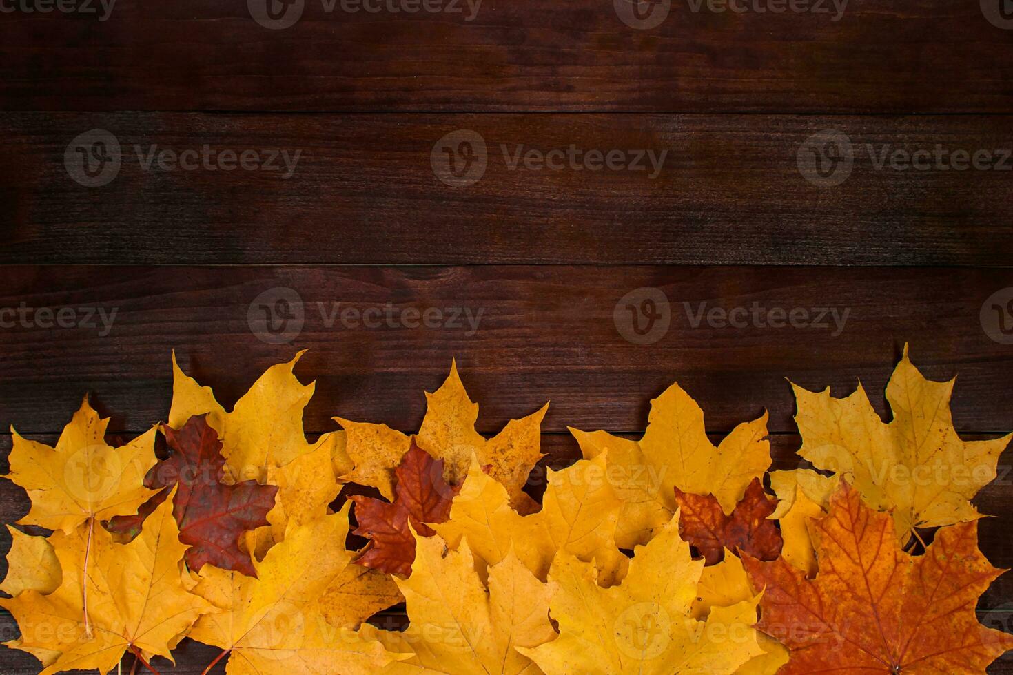 Frame from yellow autumn leaves on a brown wooden background. Fallen foliage. Backdrop for design. photo