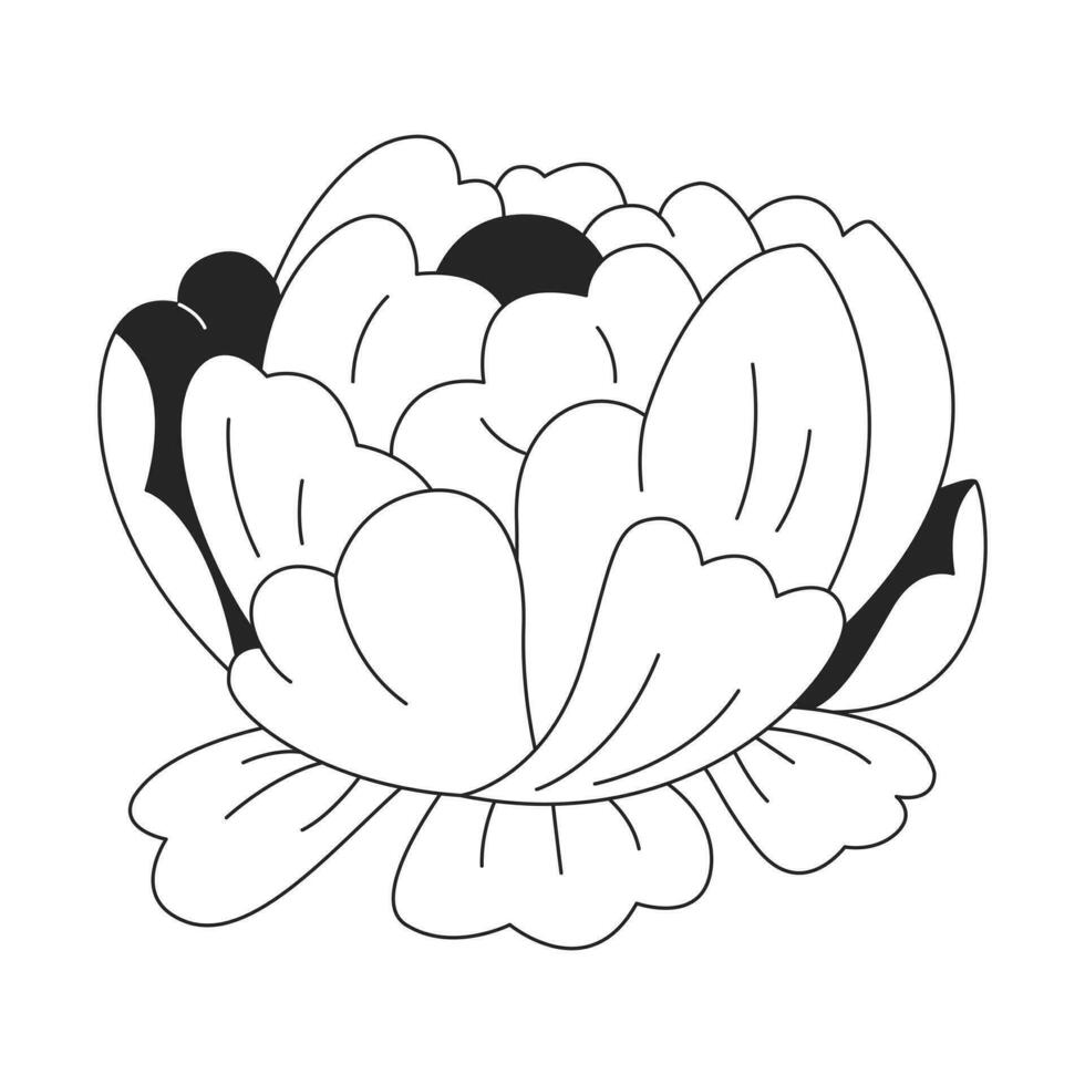 Peony flower black and white 2D line cartoon object. Single flower summer blossom isolated vector outline item. Early spring garden blooming floral nostalgia monochromatic flat spot illustration