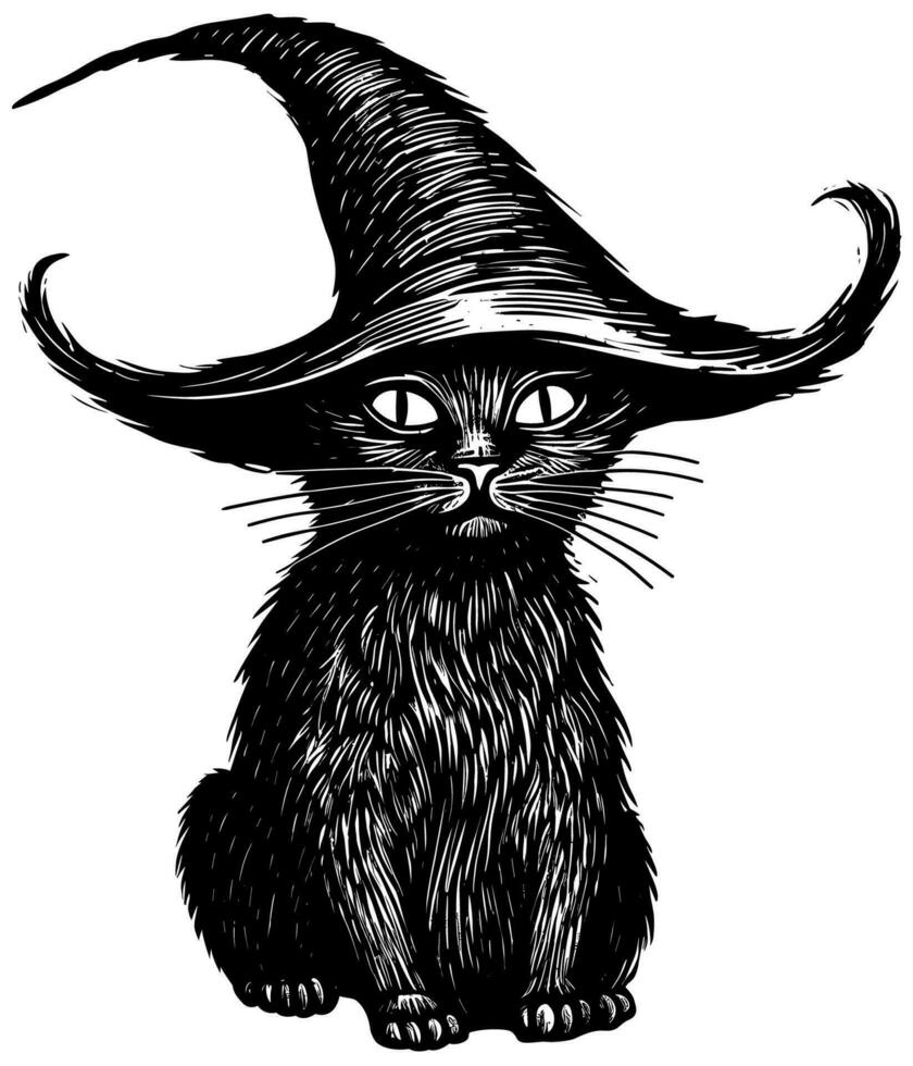 Black Cat with Witch Hat on White vector
