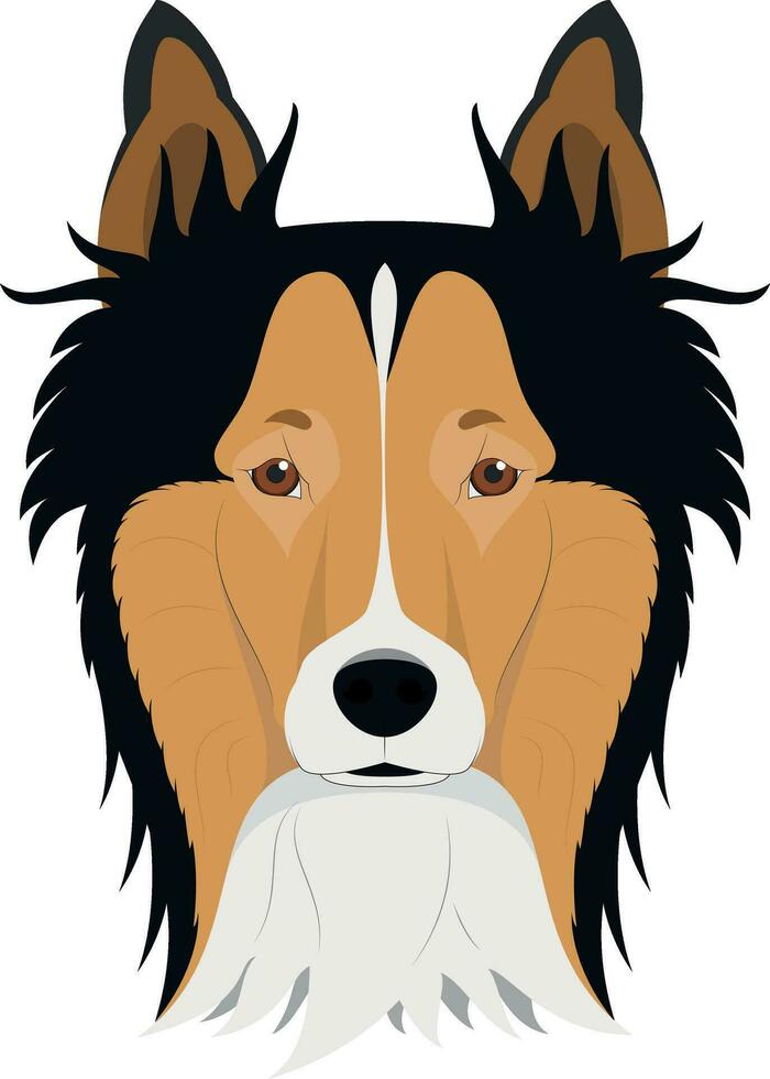 Collie Rough dog isolated on white background vector illustration