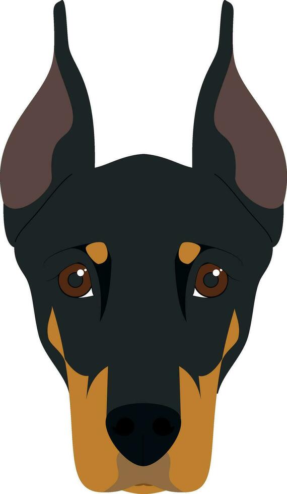 Doberman dog isolated on white background vector illustration