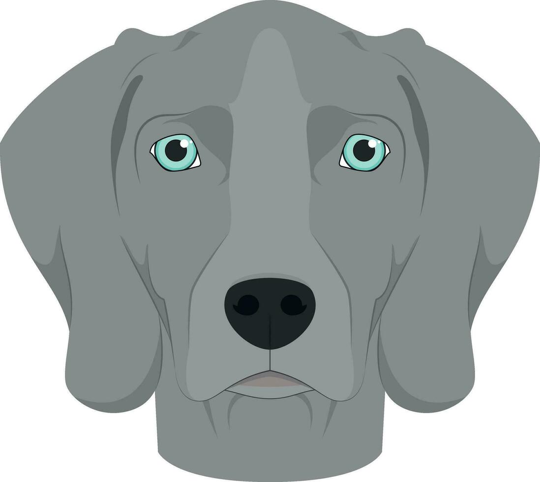 Weimaraner perro aislado en blanco antecedentes vector ilustración