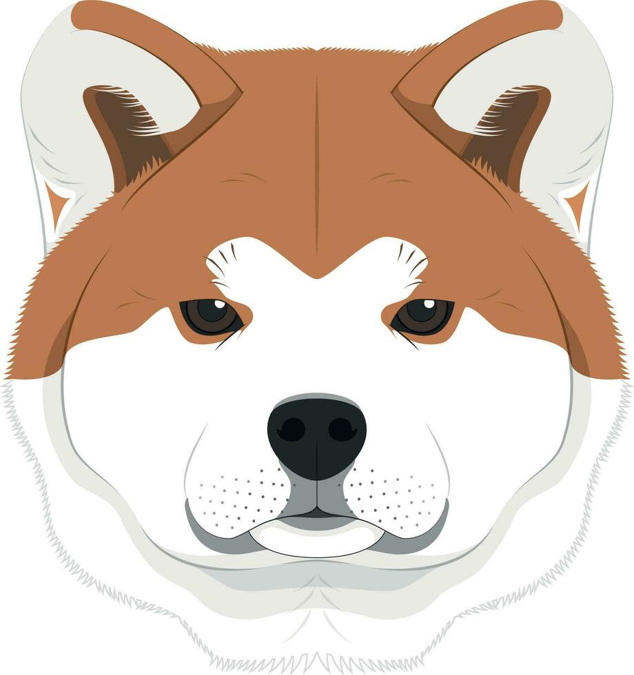 Akita Inu dog isolated on white background vector illustration