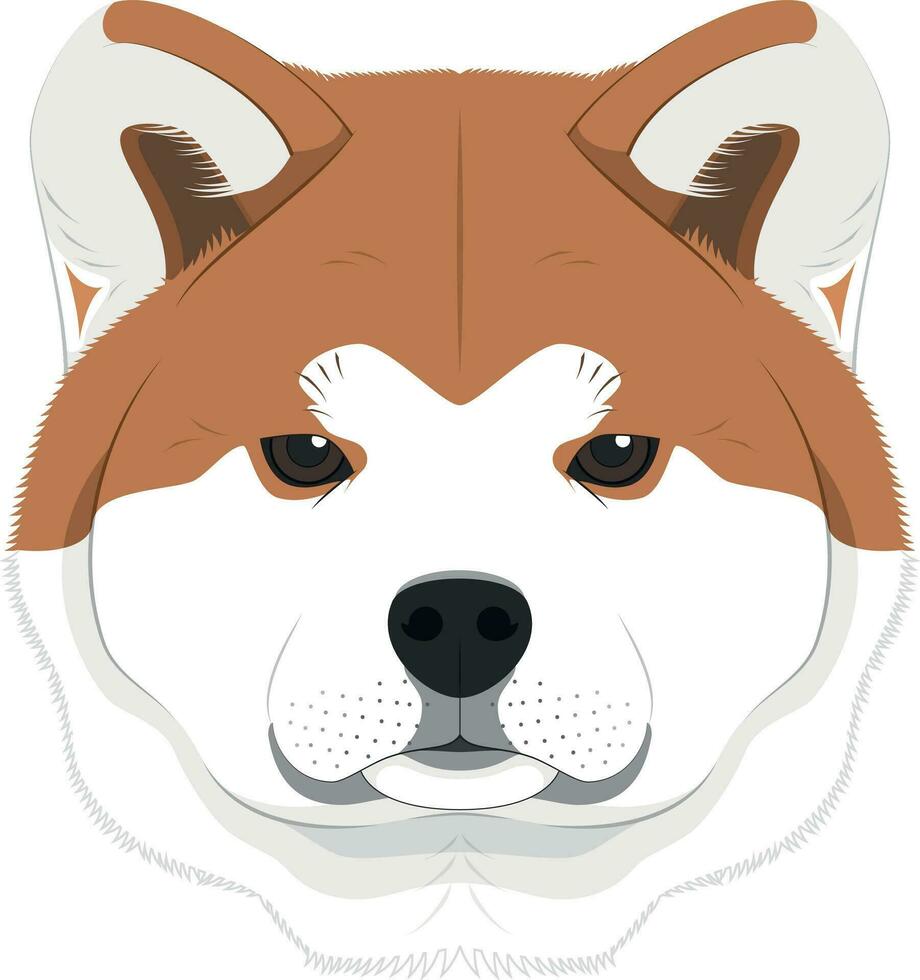 akita inu perro aislado en blanco antecedentes vector ilustración