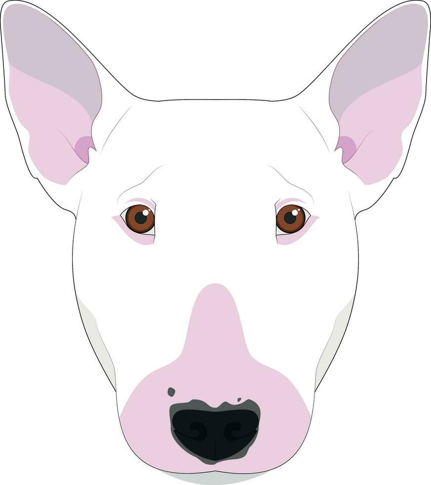 Bull Terrier dog isolated on white background vector illustration