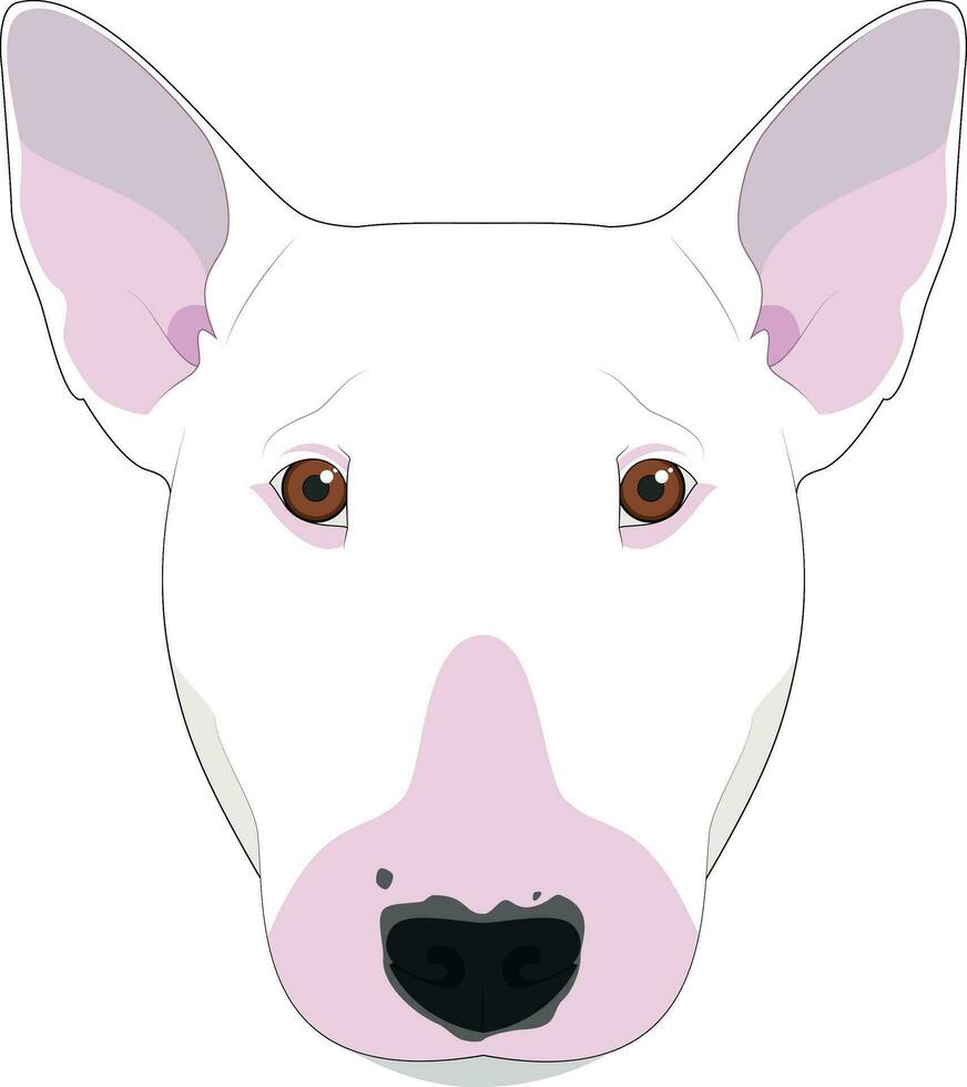 Bull Terrier dog isolated on white background vector illustration