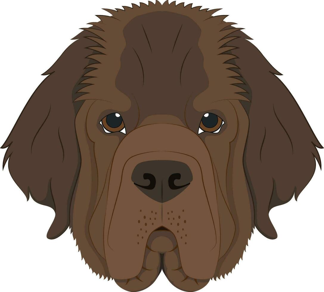 Terranova perro aislado en blanco antecedentes vector ilustración