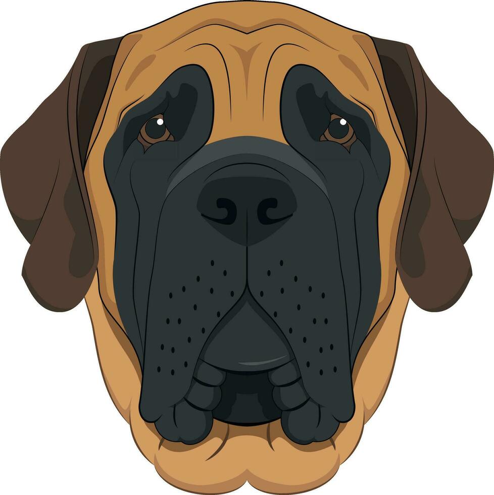 English Mastiff dog isolated on white background vector illustration