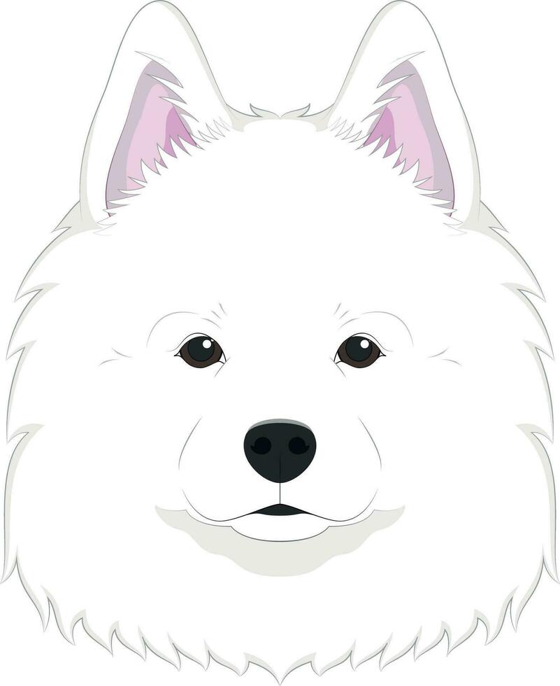 Samoyedo perro aislado en blanco antecedentes vector ilustración