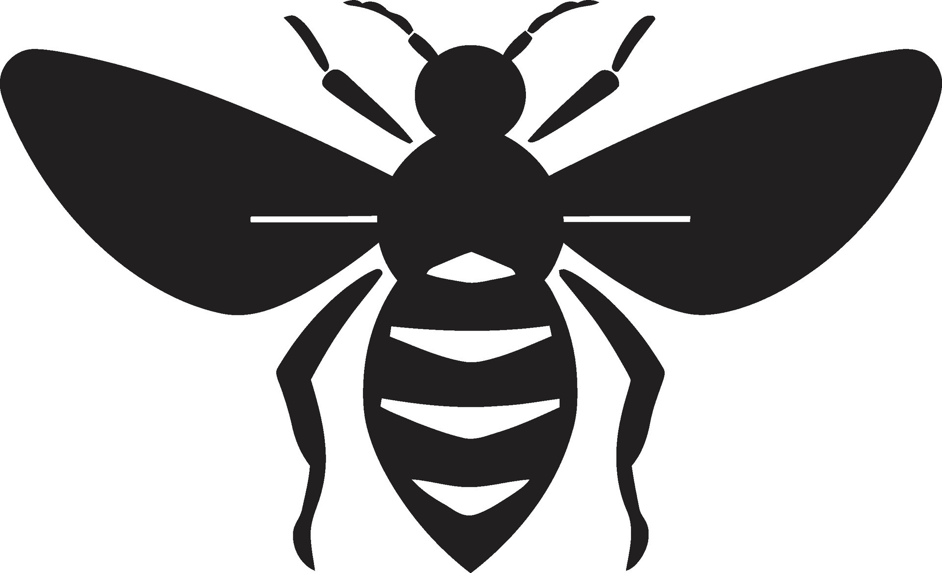 Simplicity of the Hornet in Shadows Monochrome Majesty Vectorized