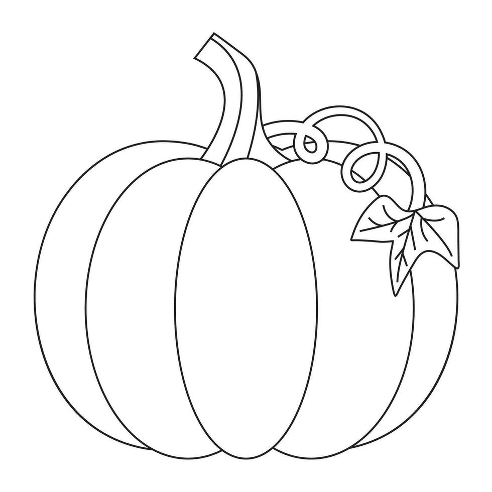 Pumpkin Outline With Vine and Leaf, Pumpkin Coloring Page, Pumpkin Icon, Fall Cartoon Pumpkin, Vector Illustration