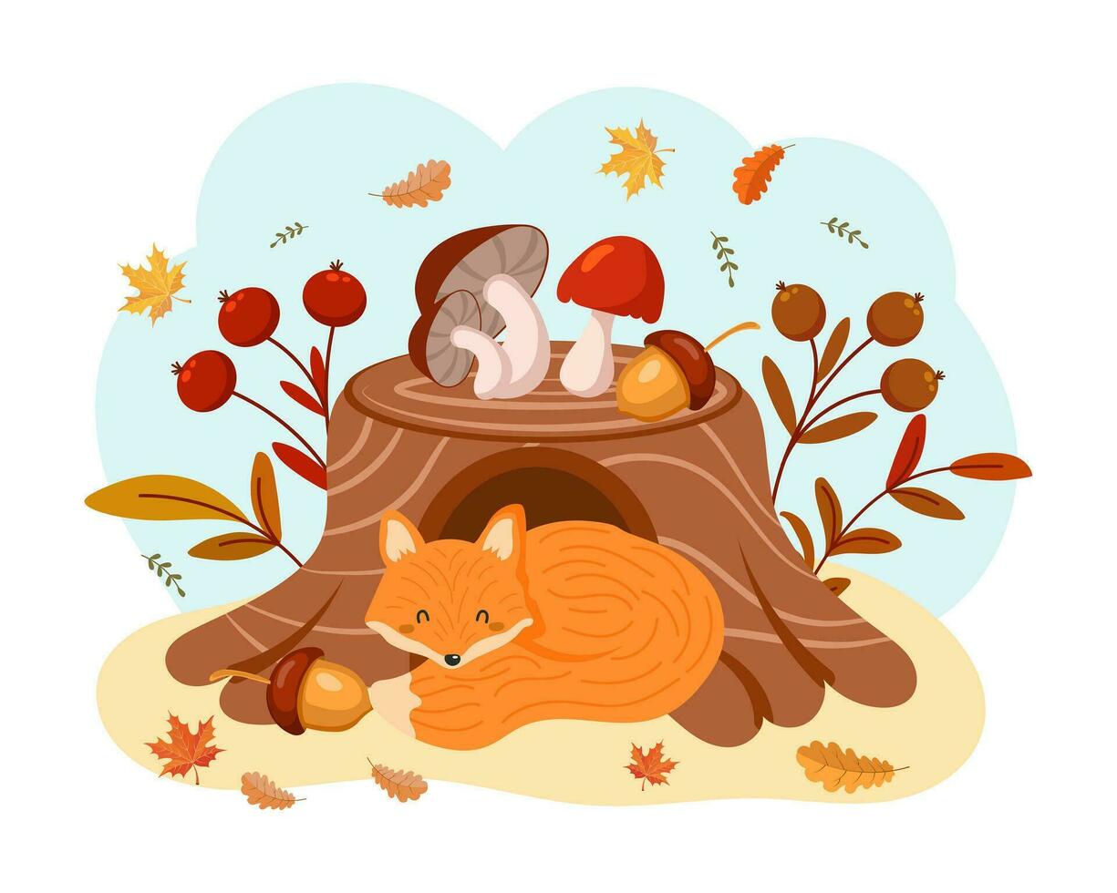 lindo zorro dormido cerca del tocón de árbol con setas silvestres, bellotas, serbal y hojas de otoño. ilustración para niños, impresión de otoño, vector