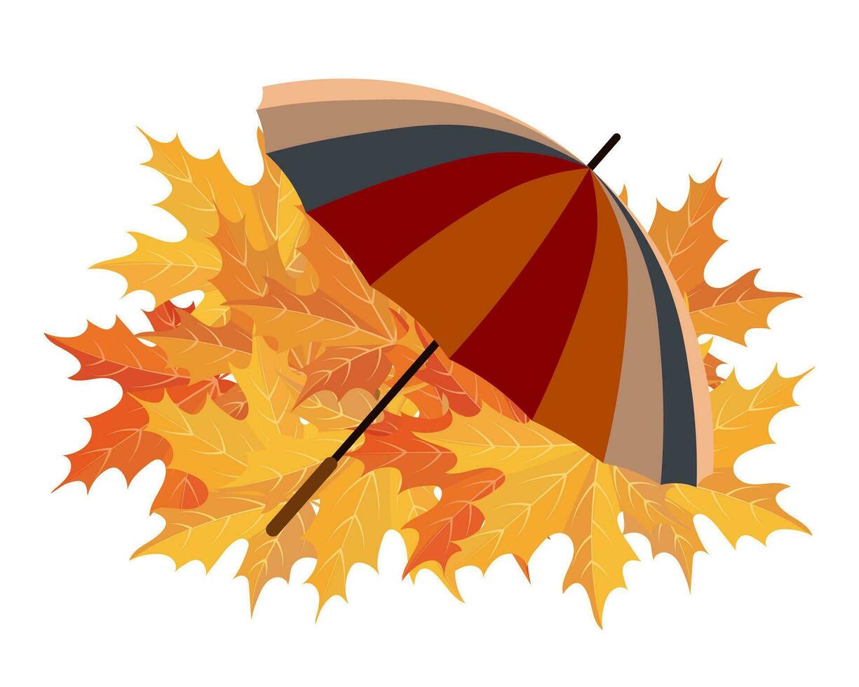 Colorful striped umbrella in orange colors on a background of maple leaves. Autumn illustration, postcard, vector