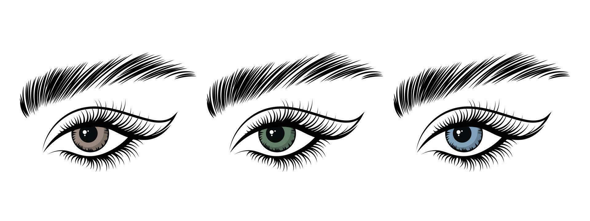 De las mujeres ojos, íconos colocar. el ojos son azul, marrón y gris. ilustración, vector