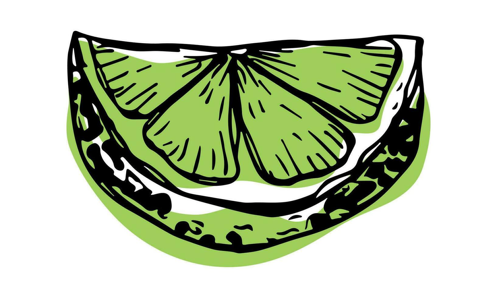 Vector lime clipart. Hand drawn citrus icon. Fruit illustration. For print, web, design, decor
