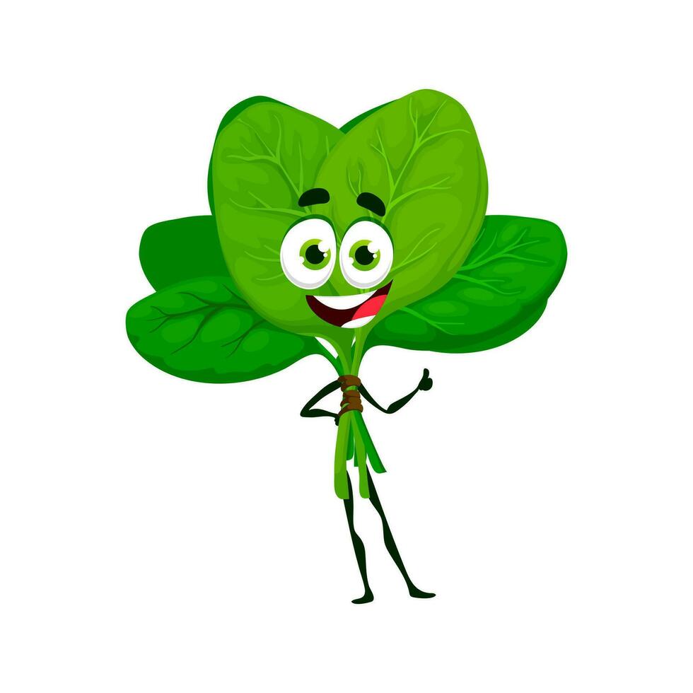 Cartoon spinach keto diet food vector character