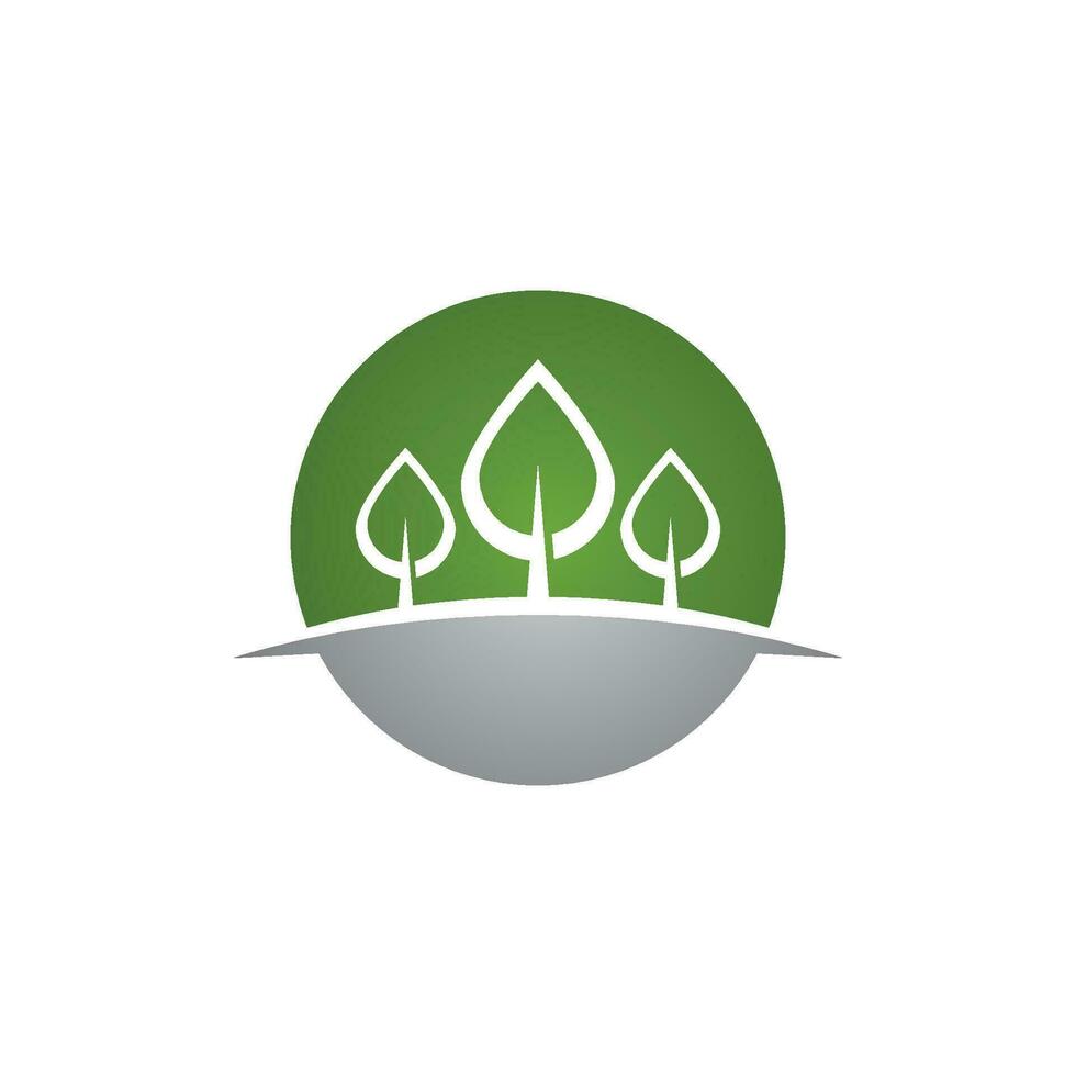 vector de plantilla de logotipo de árbol de cedro