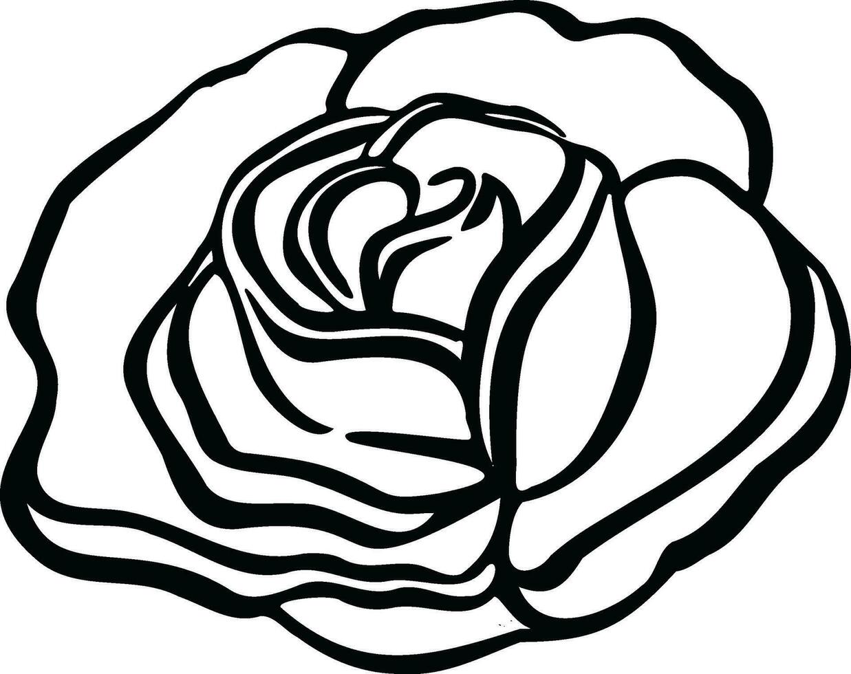 Rose, bud flower rose color blooming illustration vector