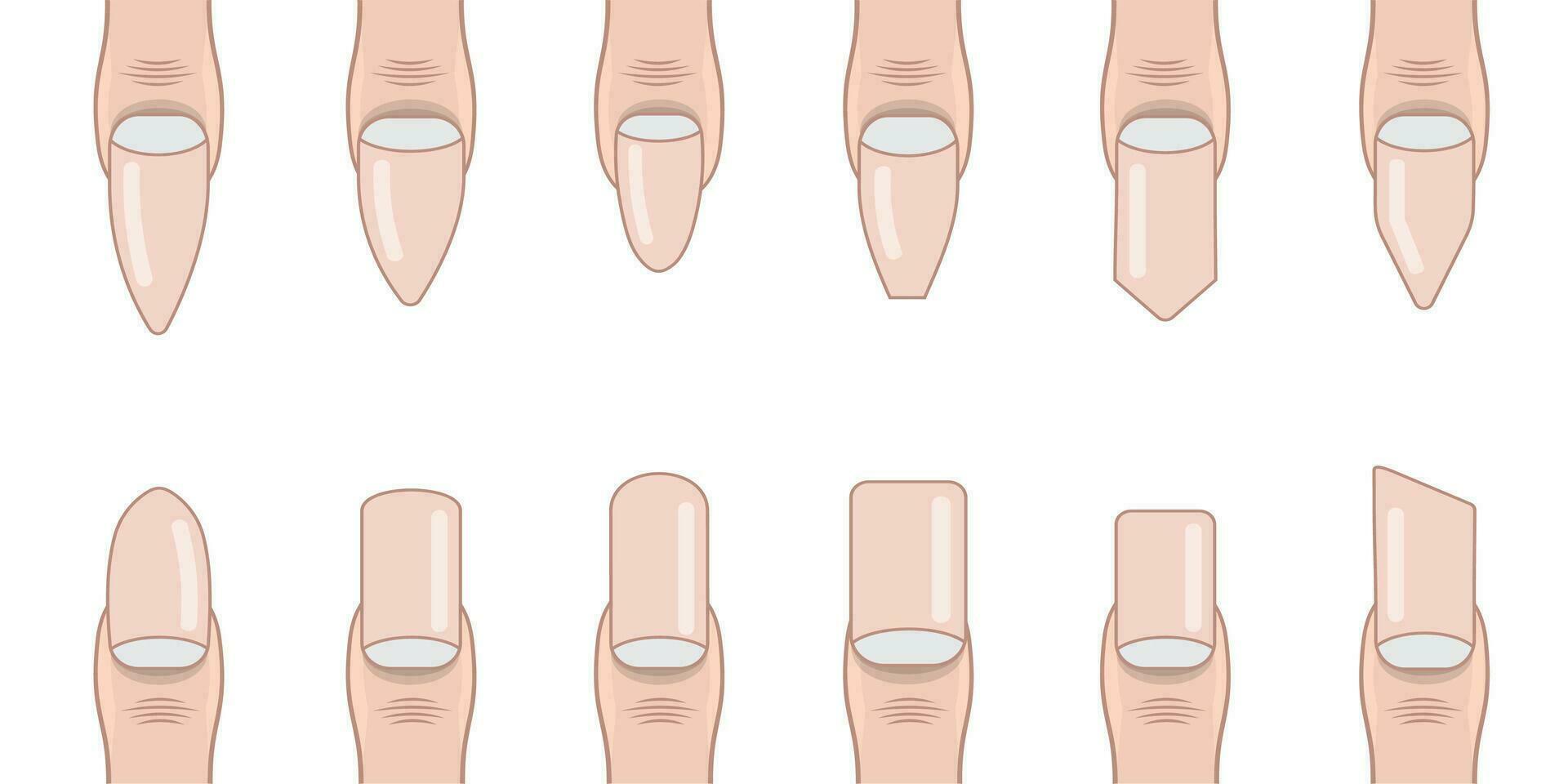 Vector shapes  of different fashion nails, fingernails design mock up templates