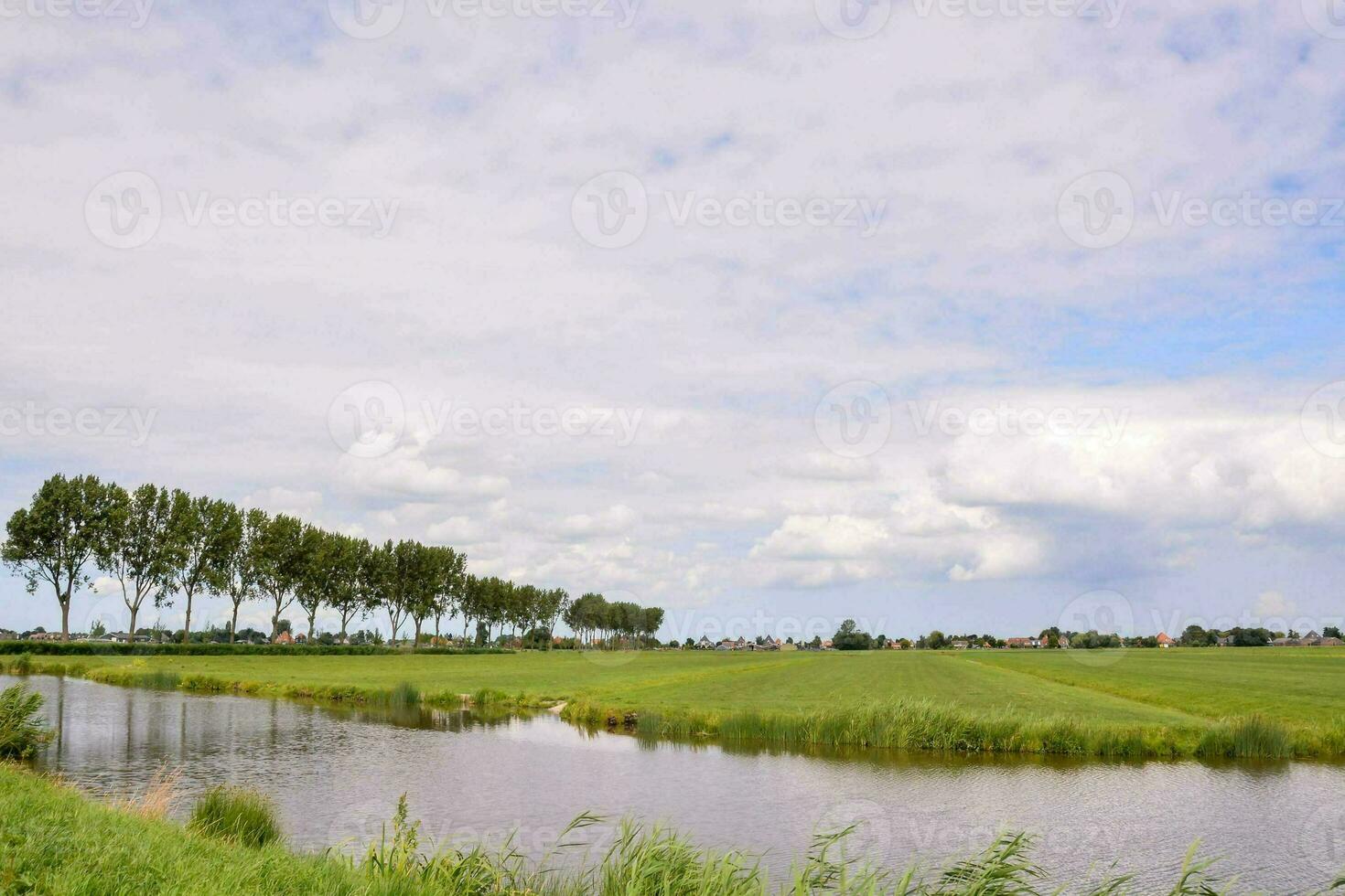 a river runs through a field with grass and trees photo