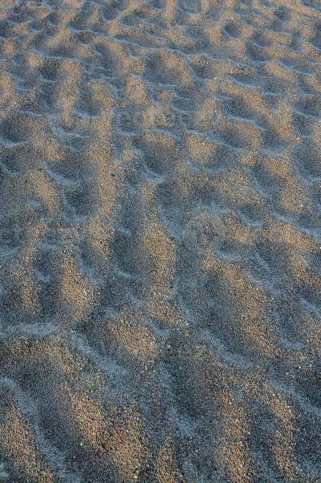 a sand dune with small ripples and a few small footprints photo