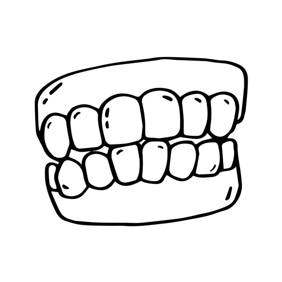 Dental prosthesis doodle. Vector illustration of false teeth isolated on white background