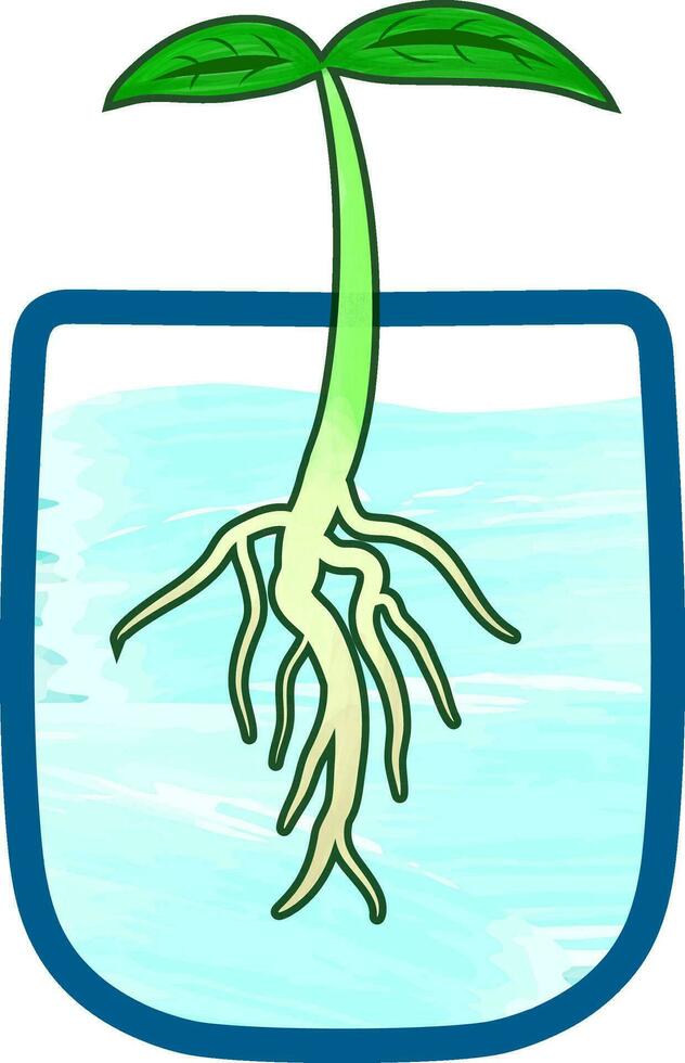 Colored illustration icon of a young hydroponic plant shoot sprout in a glass pot filled with water with visible roots vector