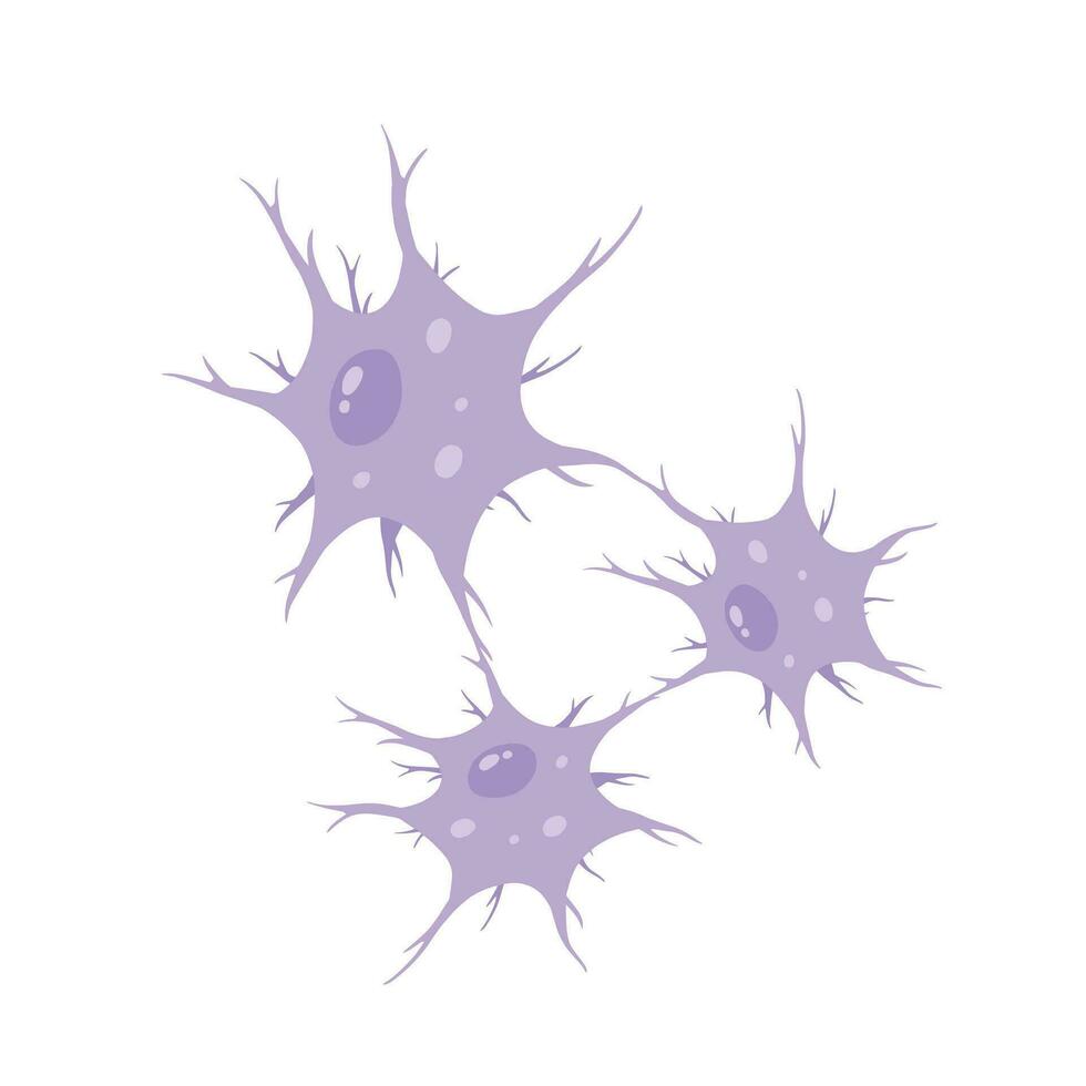 Neuron cell. Brain activity and dendrites. Membrane and the nucleus. Medical Concept of memory and connection. Educational illustration isolated on white vector