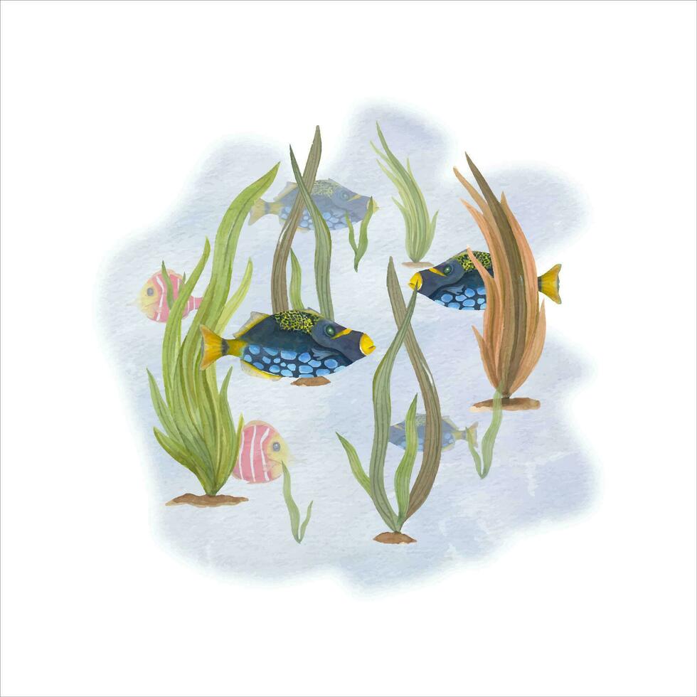 Tropical fishes among sea plants. Illustration can be used for wallpaper, print, baby textile, scrapbooking, postcards, clothing. Cartoon style. vector