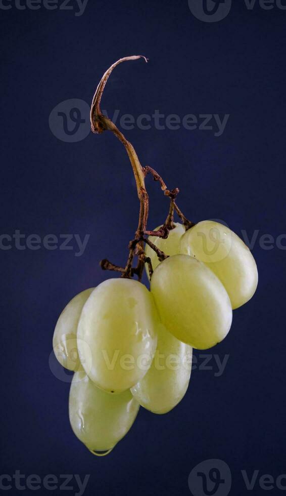 A small beautiful bunch of ripe green grapes on a blue background. photo