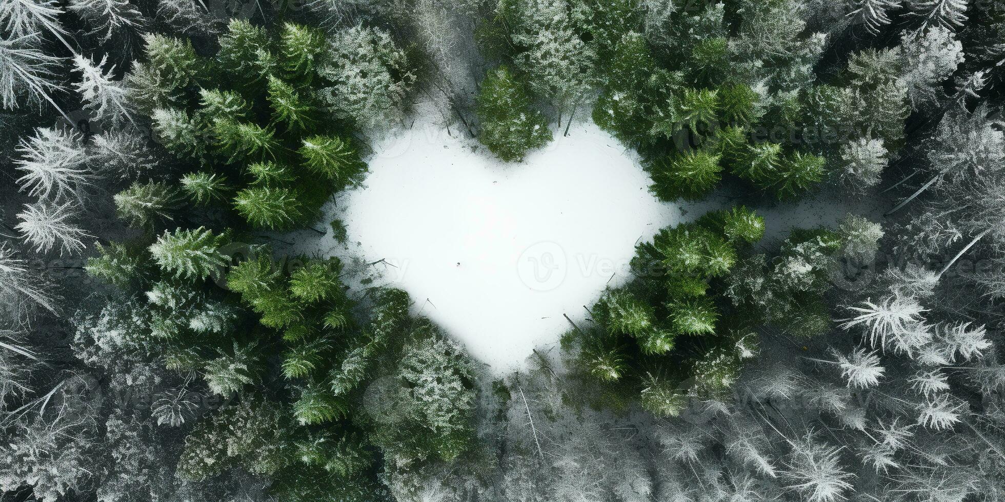 Generative AI, Misty winter fir forest with heart shape, beautiful landscape in hipster vintage retro style, evergreen trees with show photo