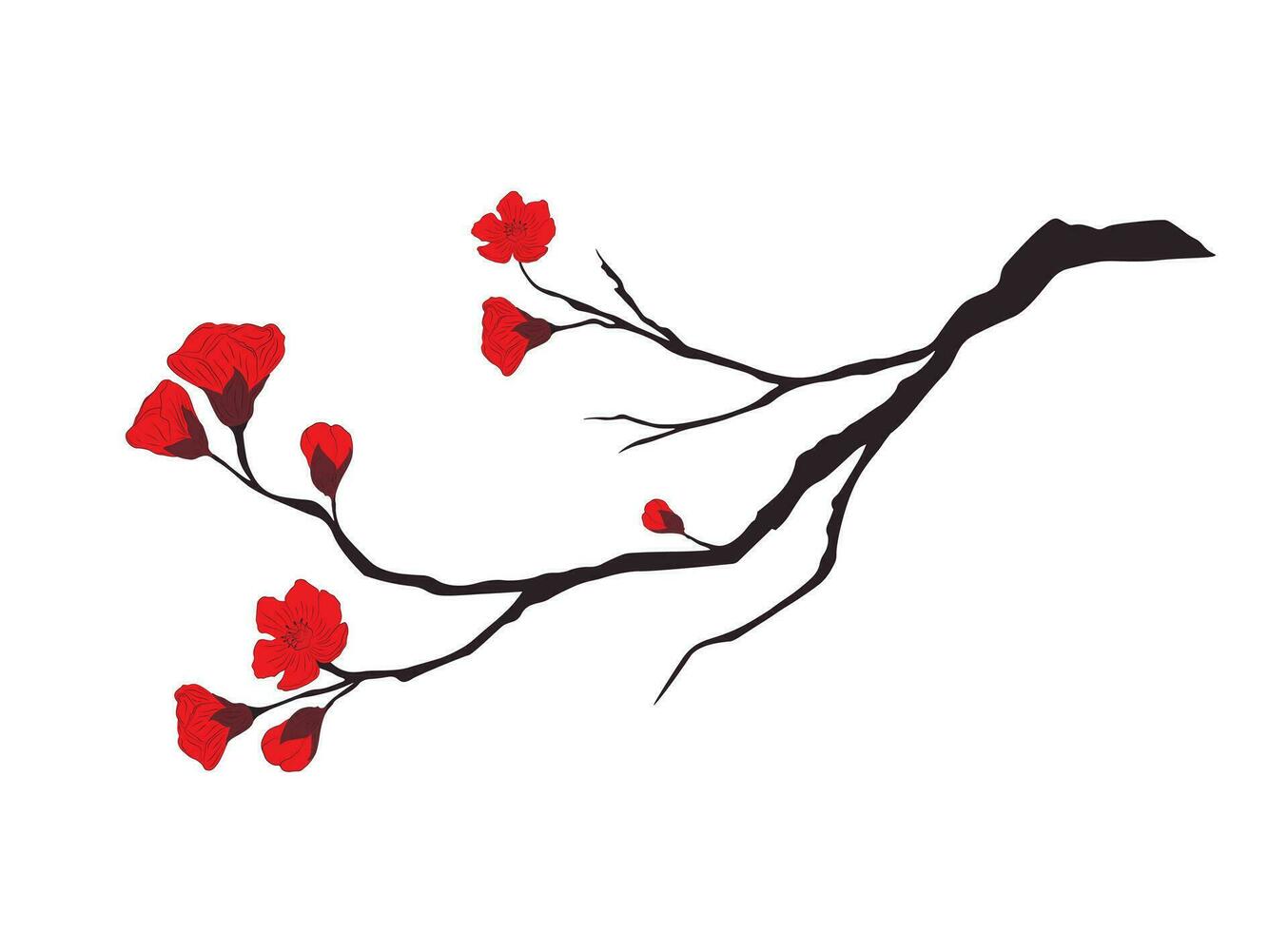 blossom of chinese plum. vector illustration. Red buds of blooming flowers sakura. Isolated on a white background.