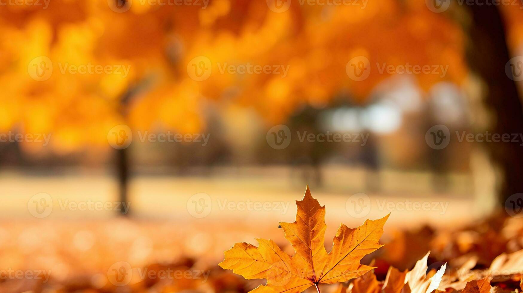 Maple leaves in autumn park. AI Generated. photo