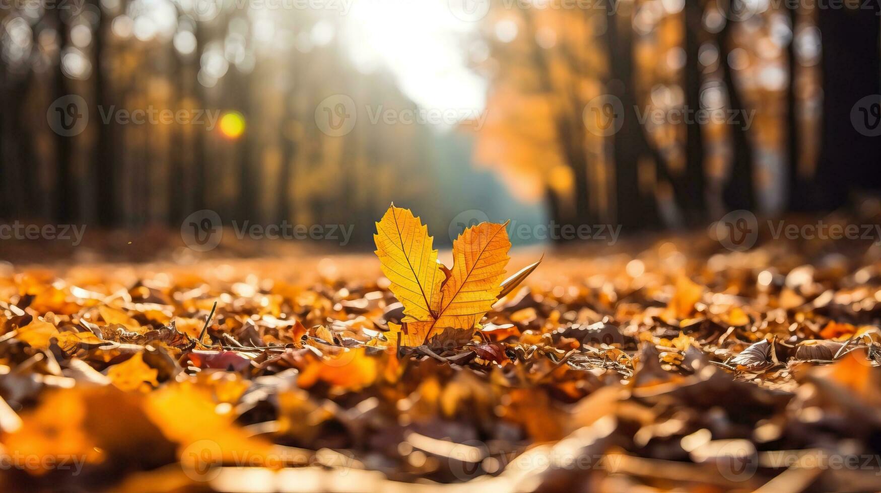 Autumn leaves on the ground in the forest. Autumn background. AI Generated. photo
