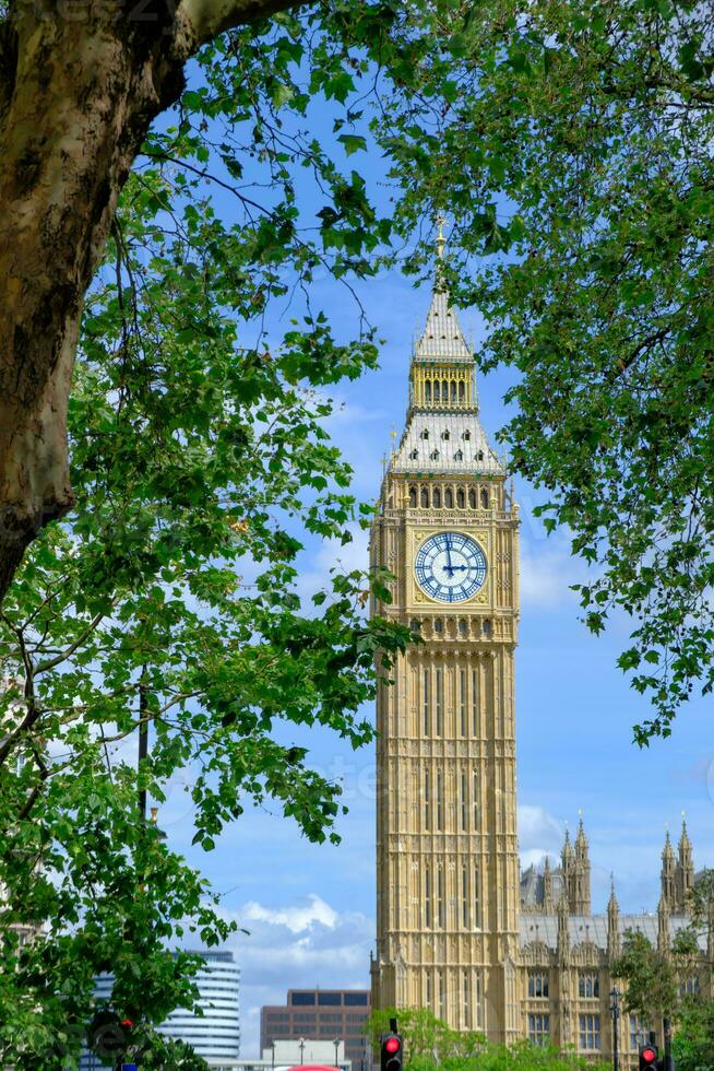 grande ben reloj en el casas de parlamento detrás árbol sucursales. Londres punto de referencia. foto