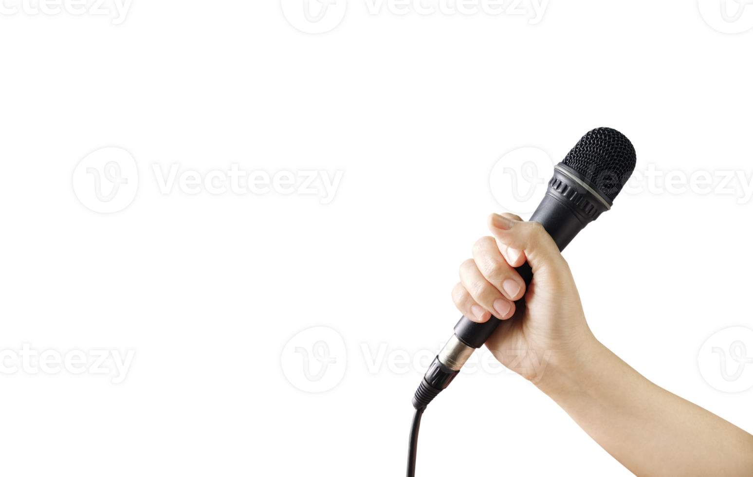 microphone in hand PNG transparent 33096514 PNG