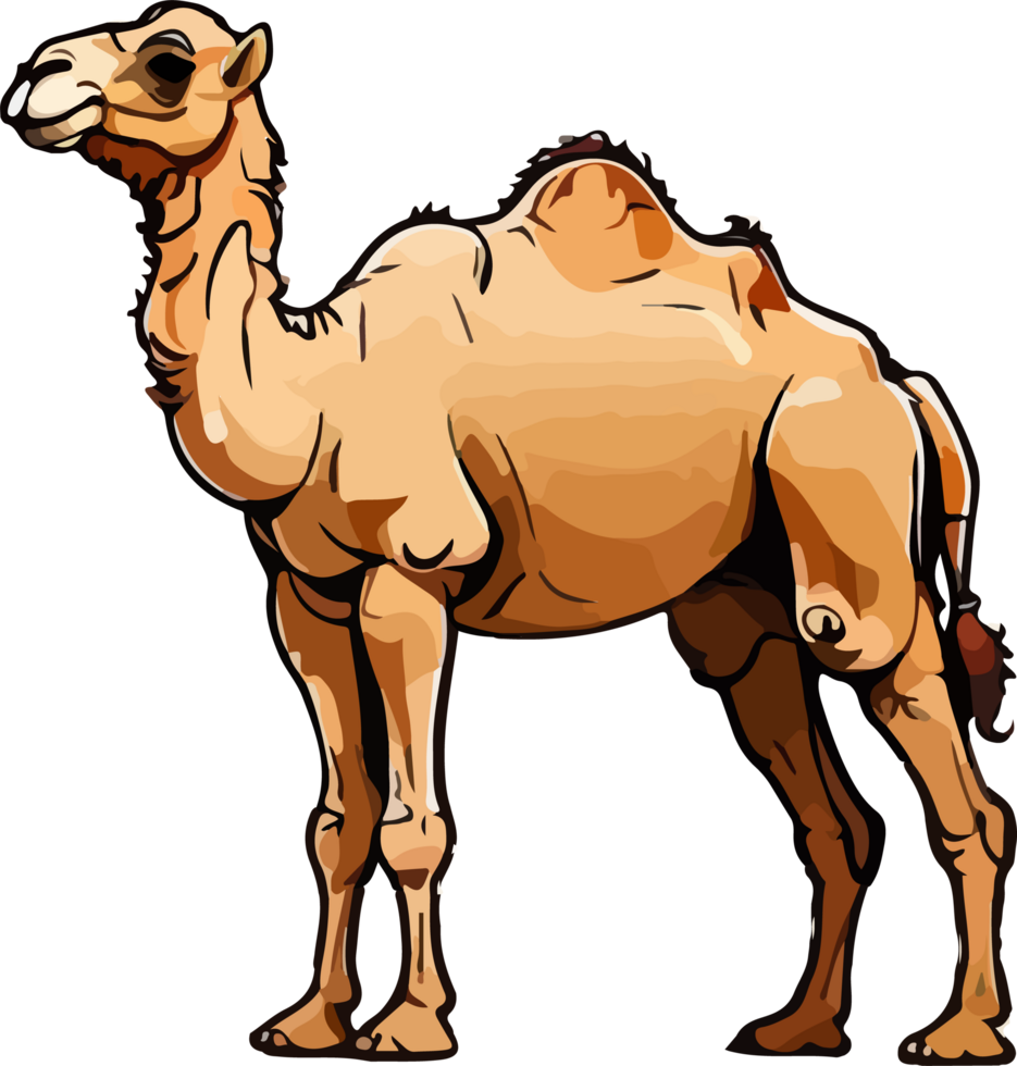 Camel Illustration Clip Art AI Generative png