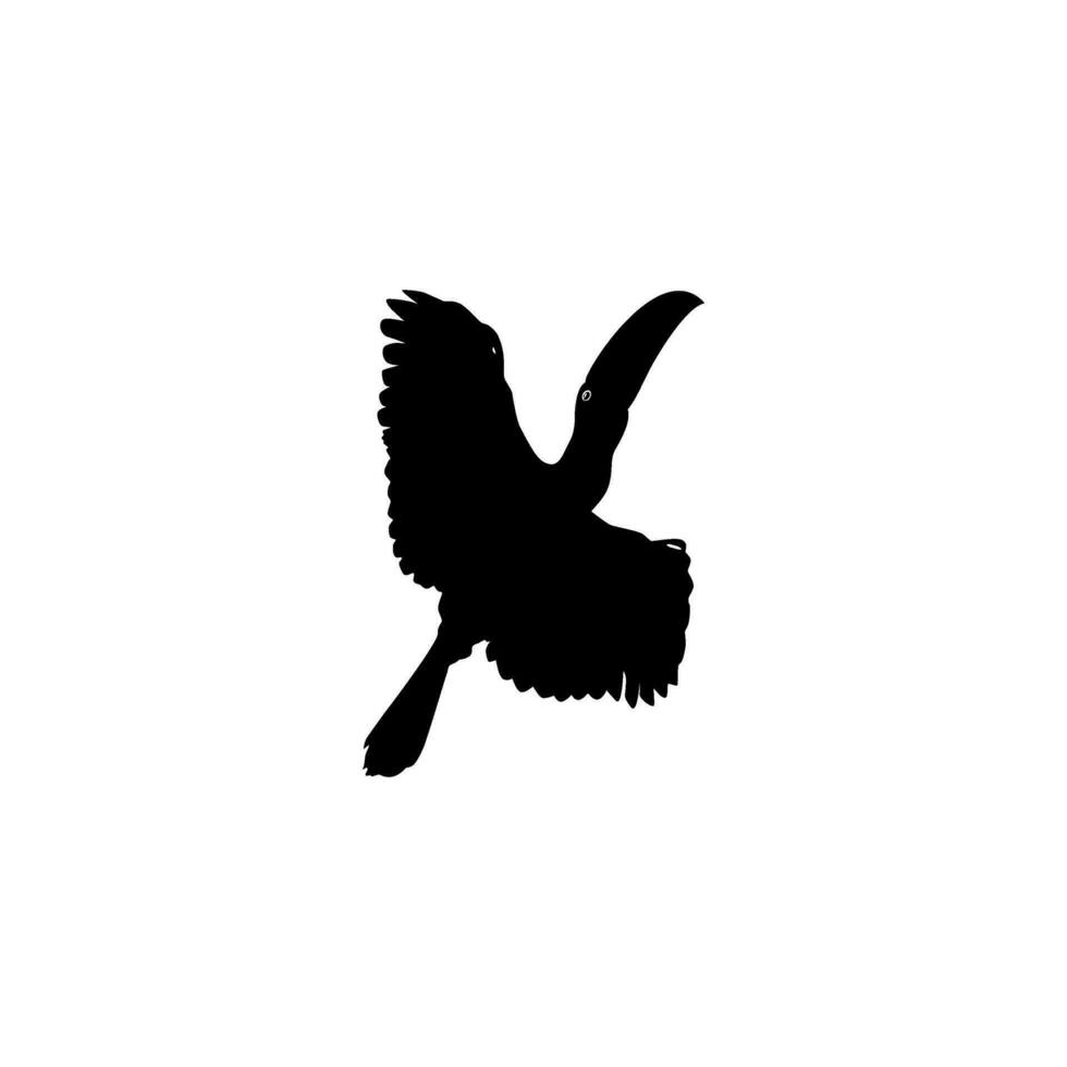 Flying Toucans. Toucans are Neotropical members of the near passerine bird family Ramphastidae. The Ramphastidae are most closely related to the American barbets, Bird Silhouette. Vector Illustration