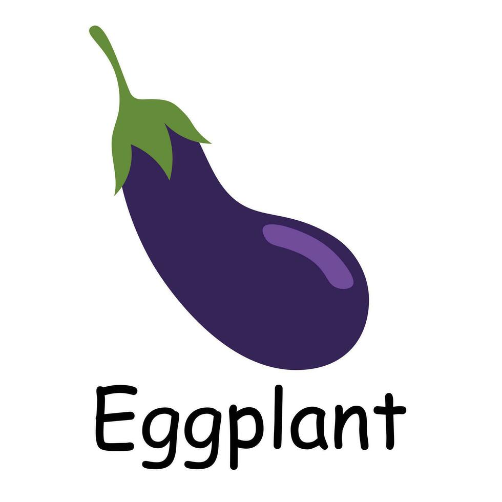 Eggplant illustration flat vector. Vegetables flashcard. Element for kitchen, cooking, super market, healthy lifestyle concept vector