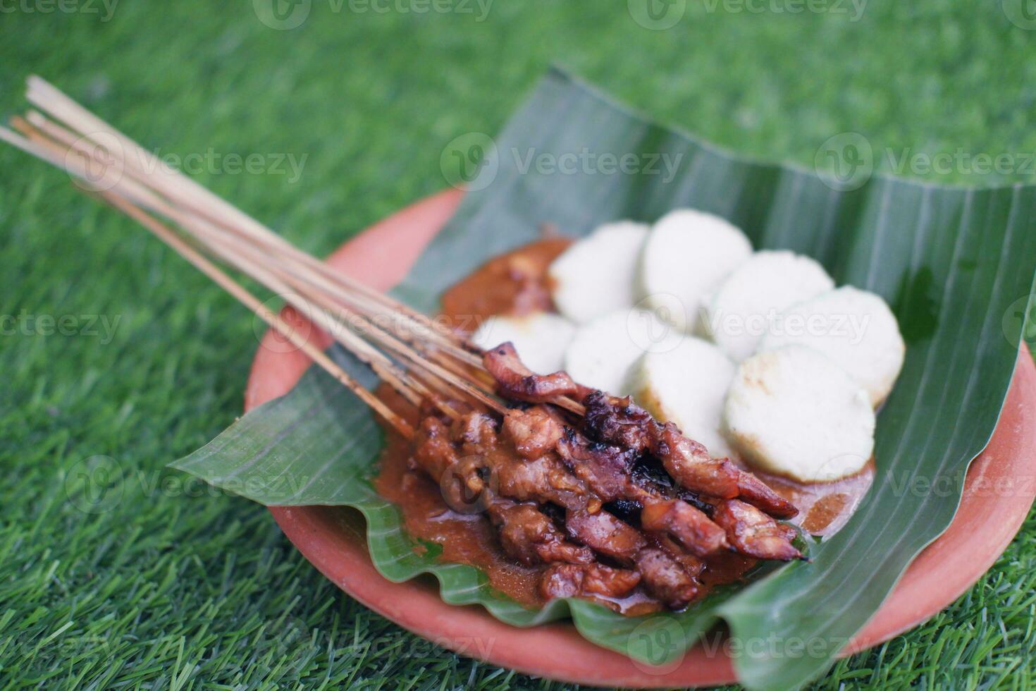chicken satay on a white plate with peanut sauce photo
