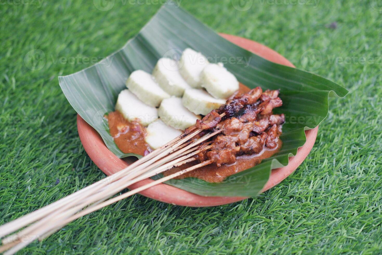 chicken satay on a white plate with peanut sauce photo