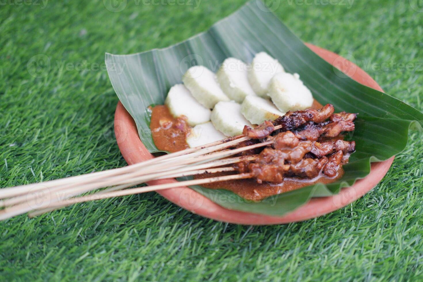 chicken satay on a white plate with peanut sauce photo