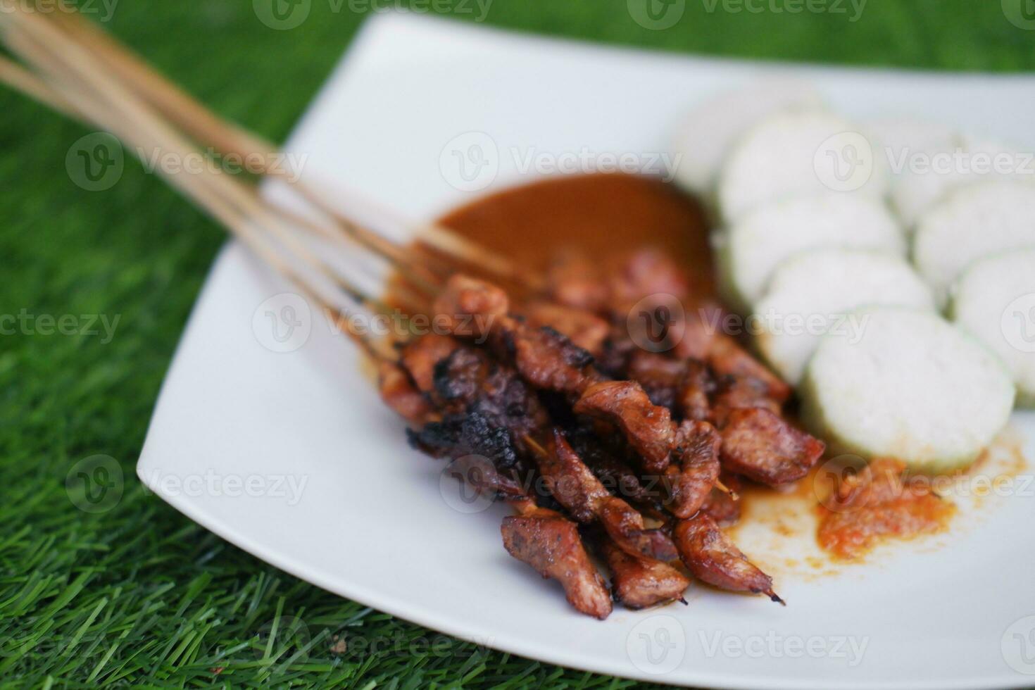 chicken satay on a white plate with peanut sauce photo