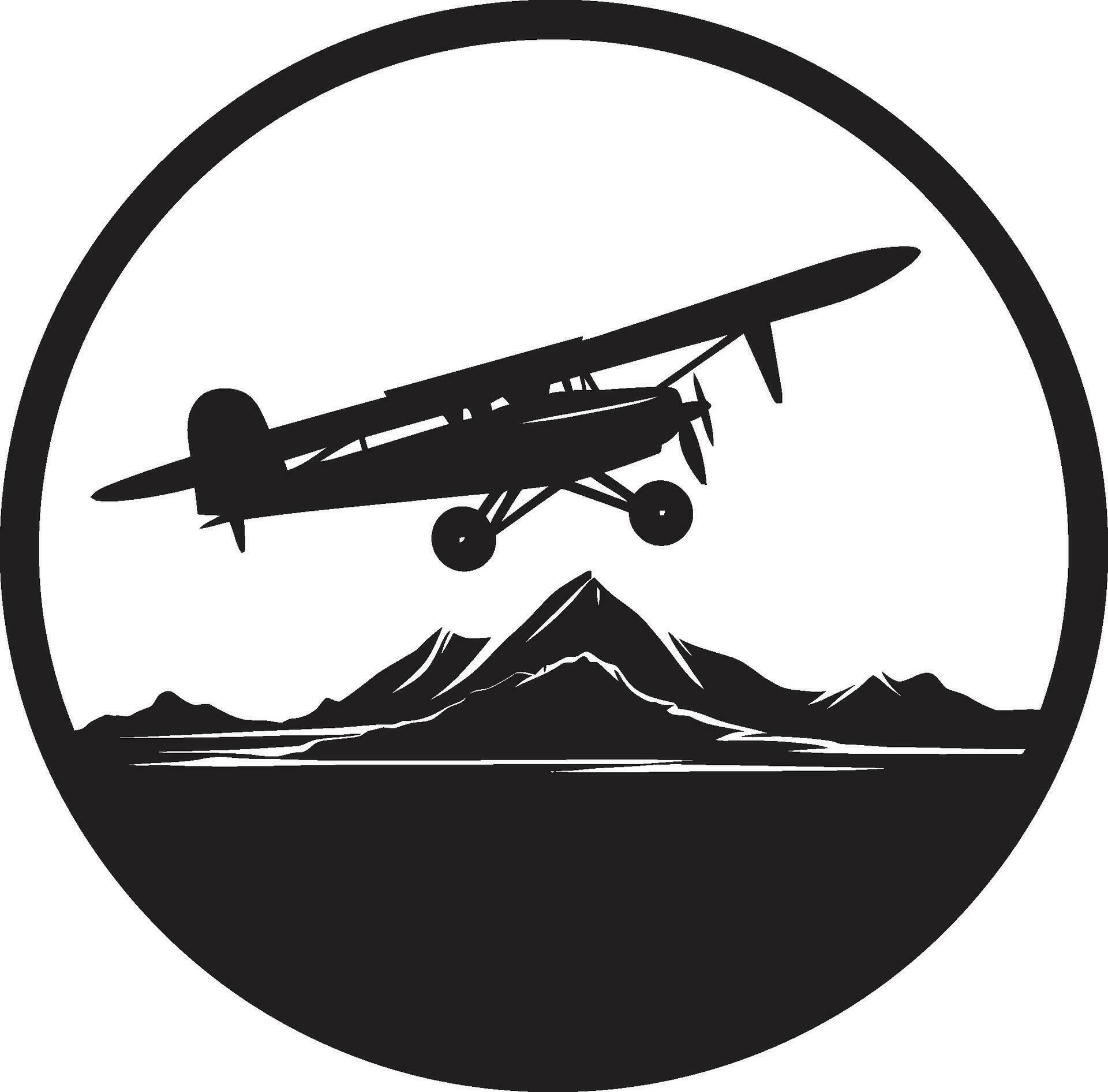 Aircraft Elegance in Flight Vector Wings Sculpted in Black Vector Aircraft Design 33101279