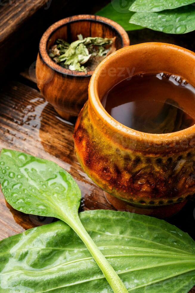 Herbal plantain tea photo