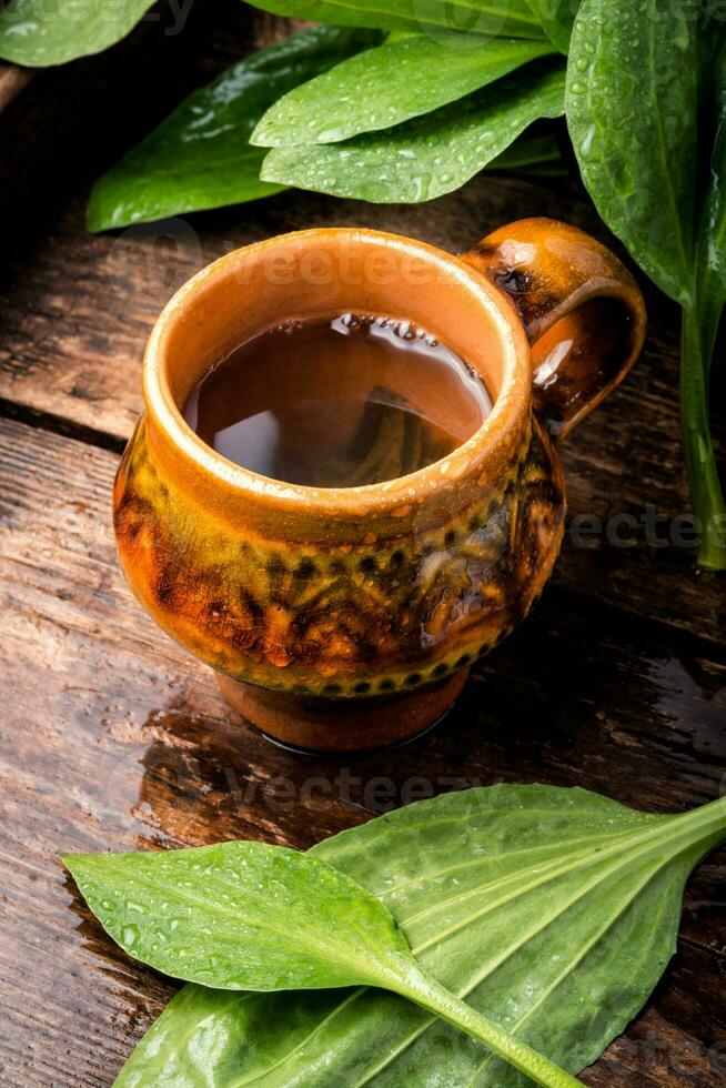 Cup of healthy tea photo