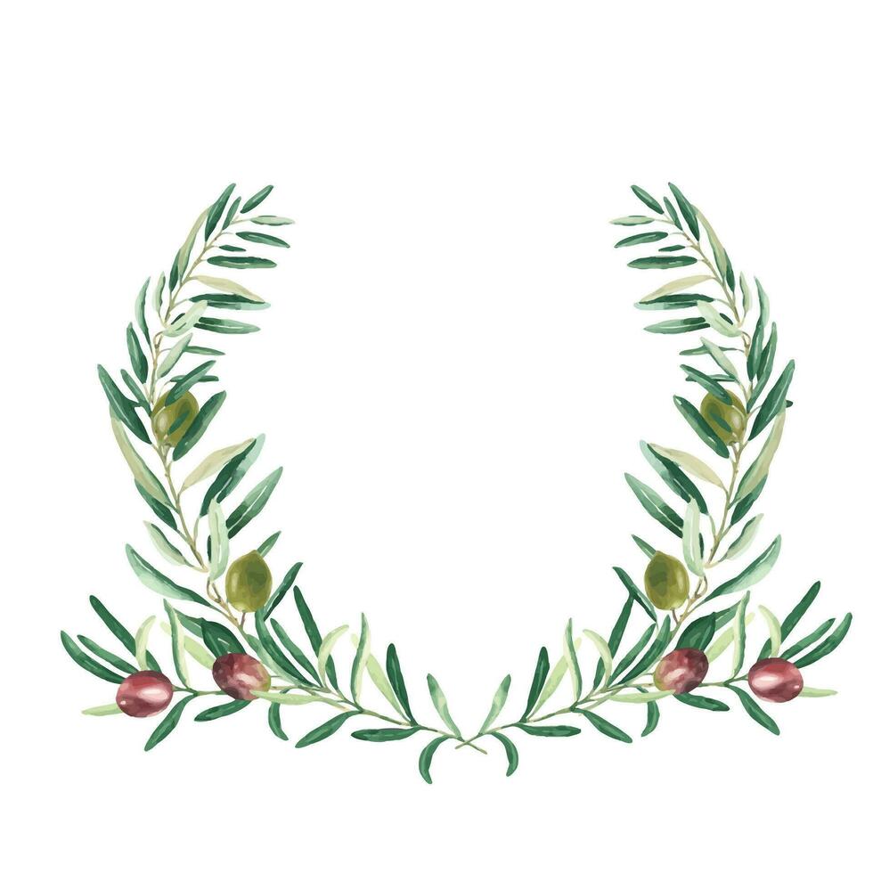 Watercolor olive wreath with green and red olives. Hand drawn botanical illustration. Can be used for cards, emblem, logos and food design. vector