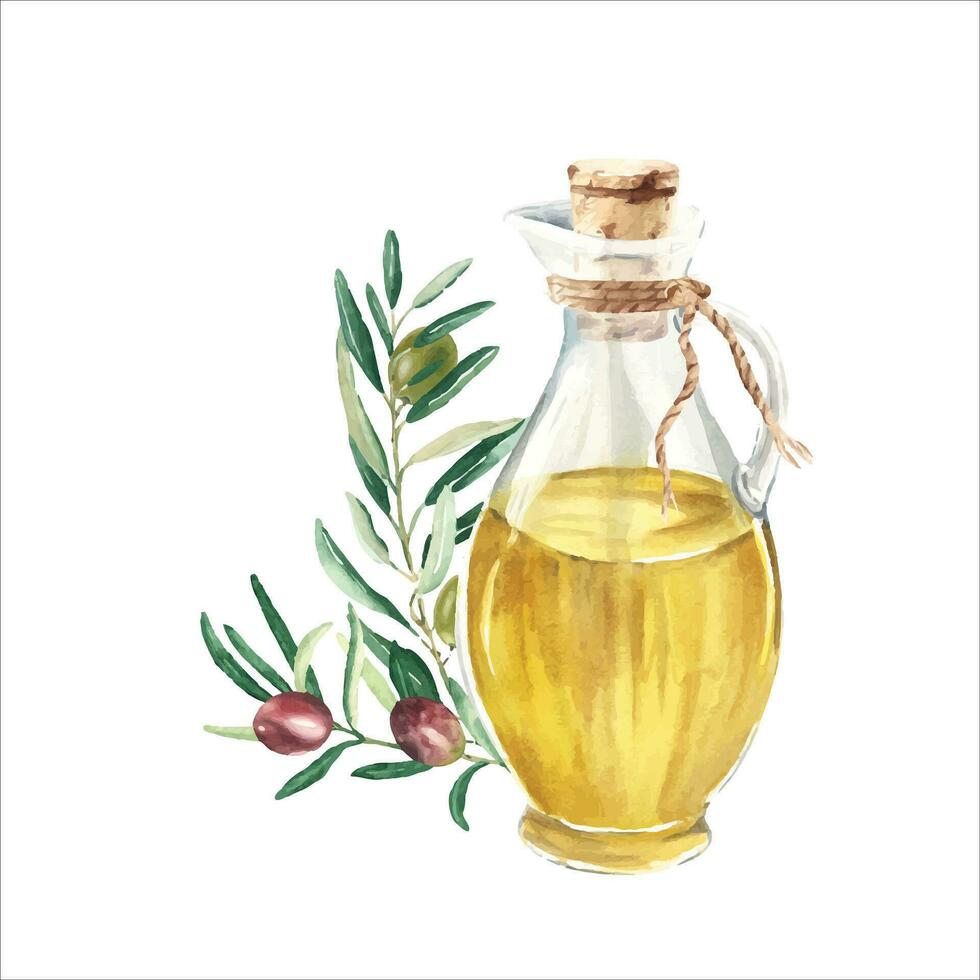 Composition of glass jug with oil and olive branch with green and red olives. Hand drawn watercolor illustration. For menu, product and italian, greek, spanish cuisine design vector
