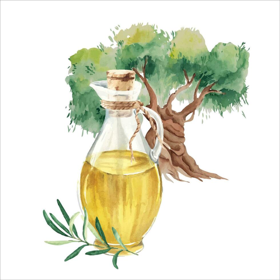 Composition of glass jug with oil, olive tree and branch. Hand drawn watercolor botanical illustration. For menu, product packaging and italian, greek, spanish cuisine design vector